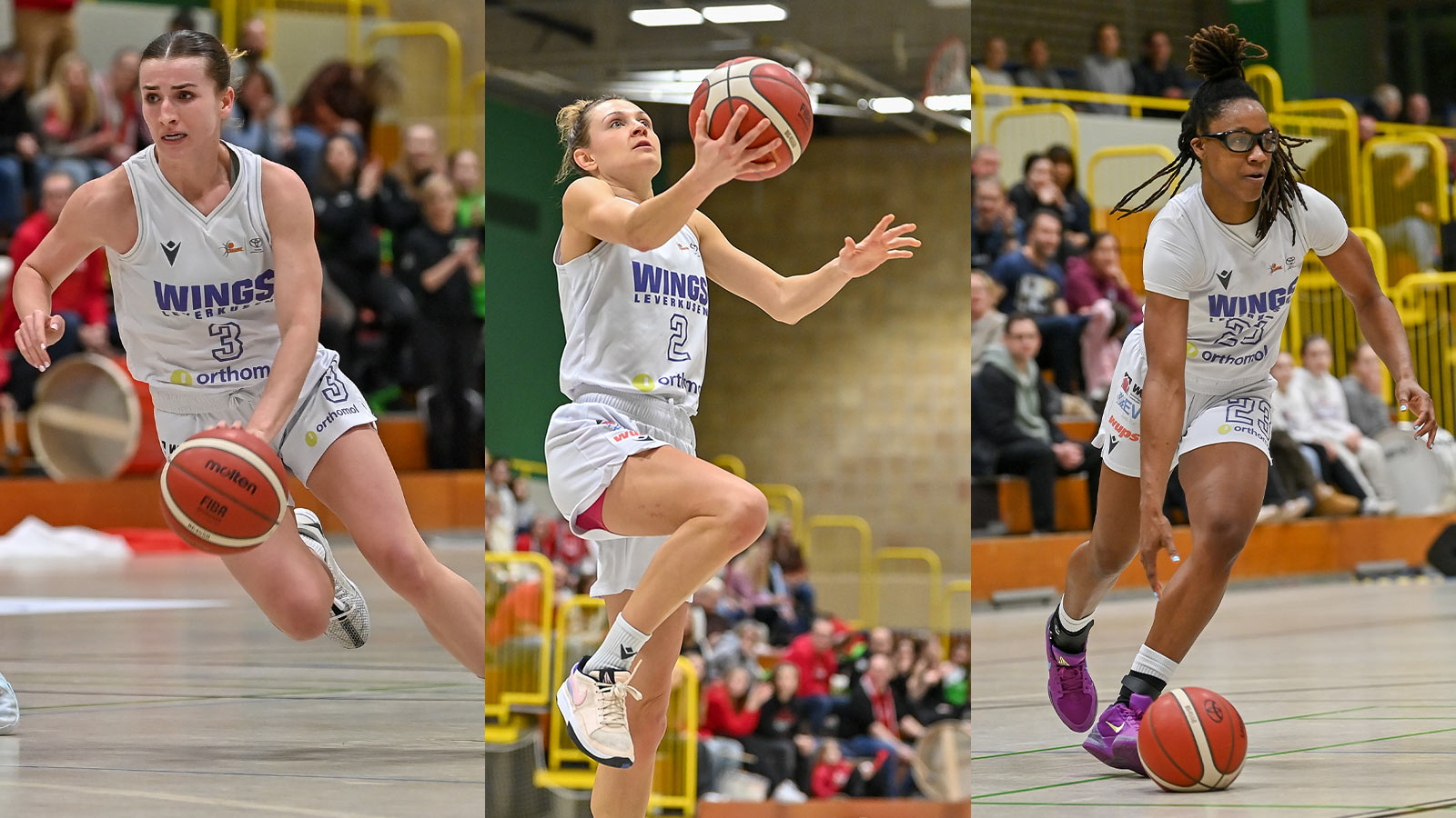 WINGS Leverkusen verabschieden USA-Trio