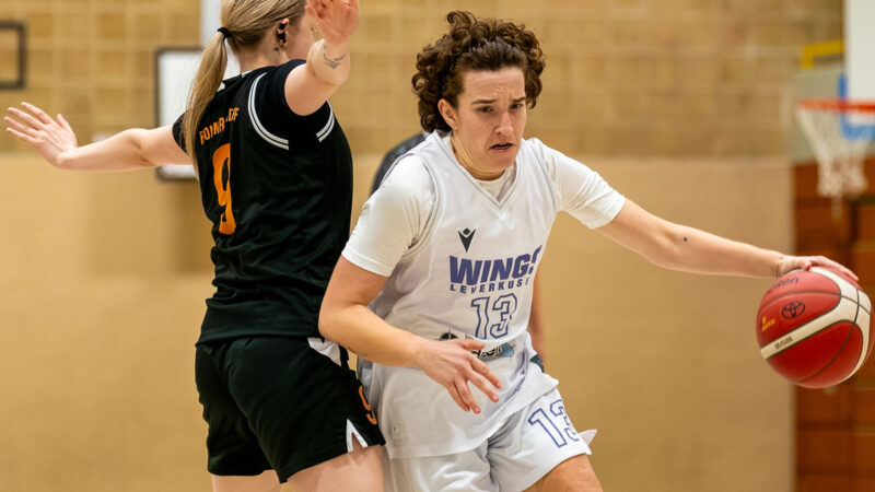 WINGS mit erfolgreichem Jahresabschluss in WBV-Wettbewerben