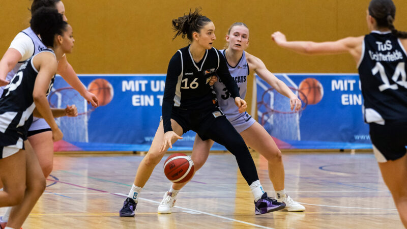 WINGS empfangen Berliner Nachwuchs