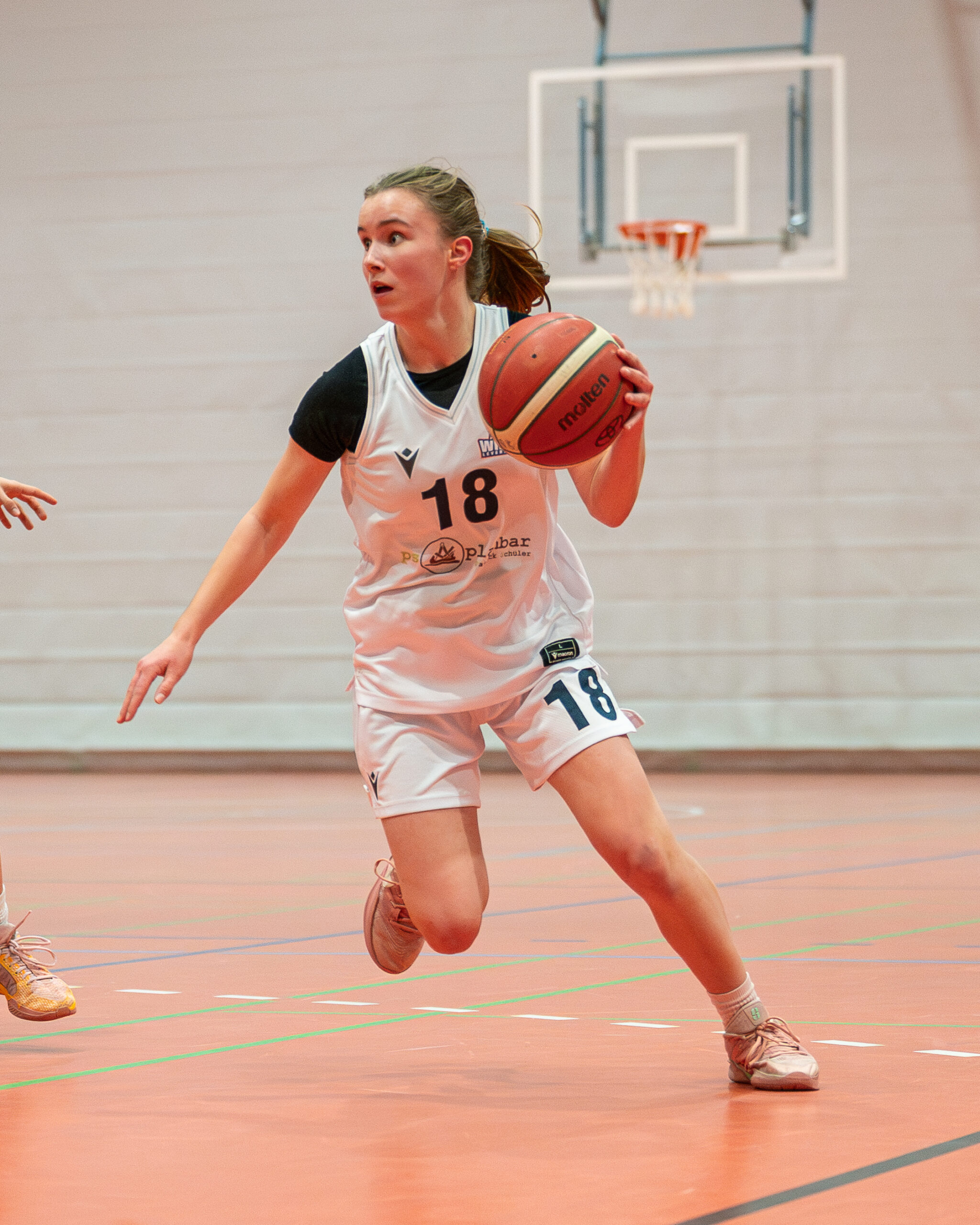 Foto: WINGS vs. Hürther BC