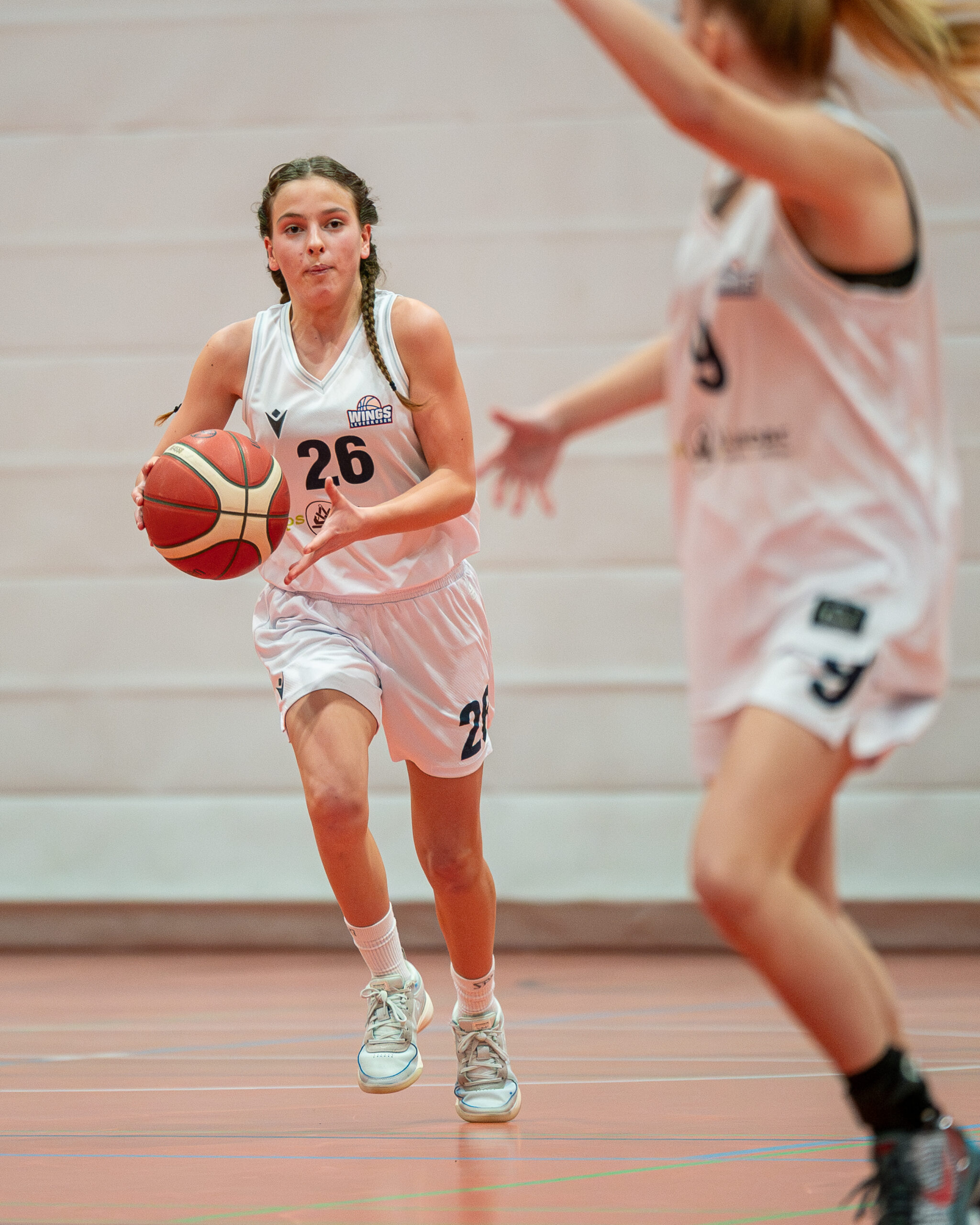 Foto: WINGS vs. Hürther BC