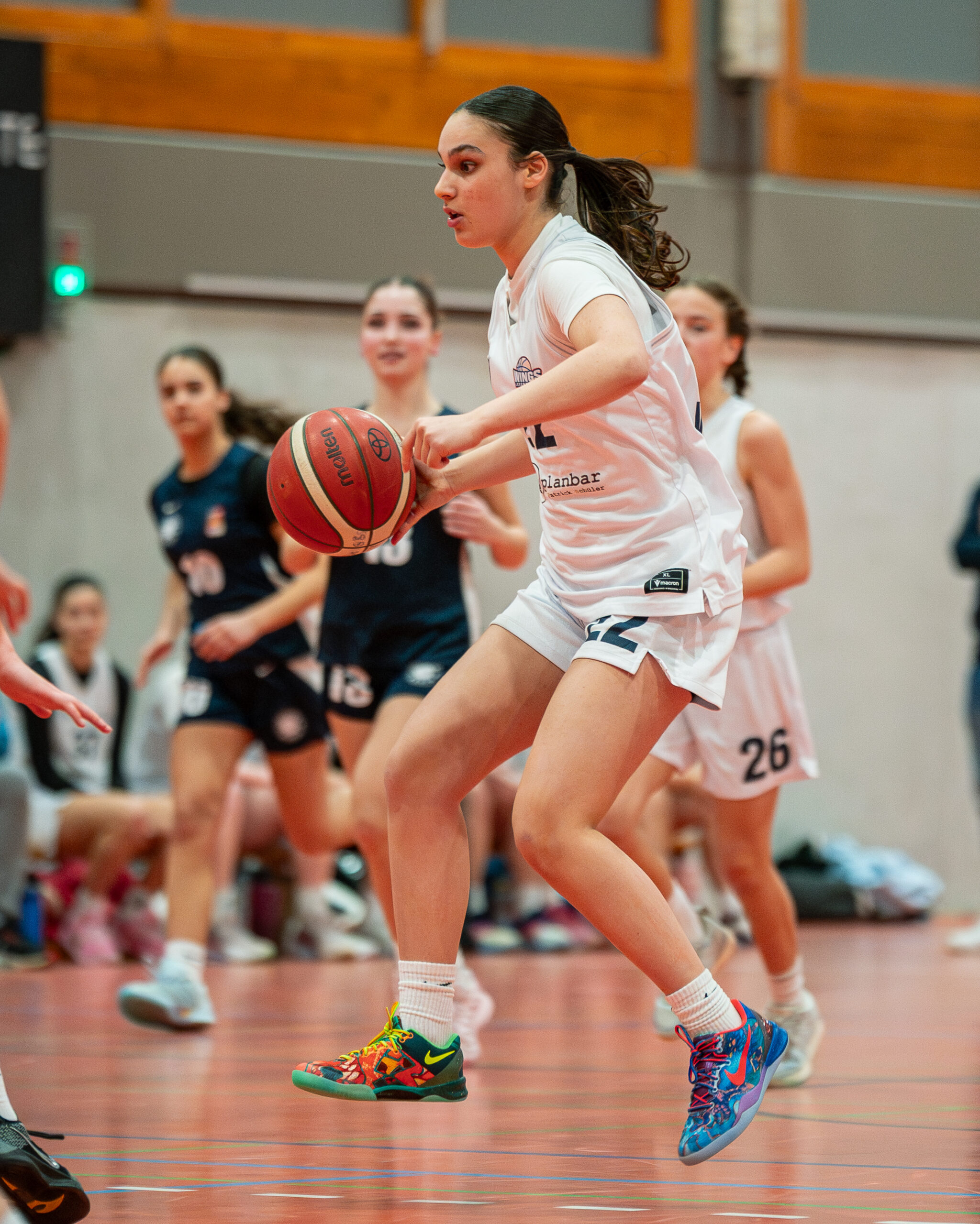 Foto: WINGS vs. Hürther BC