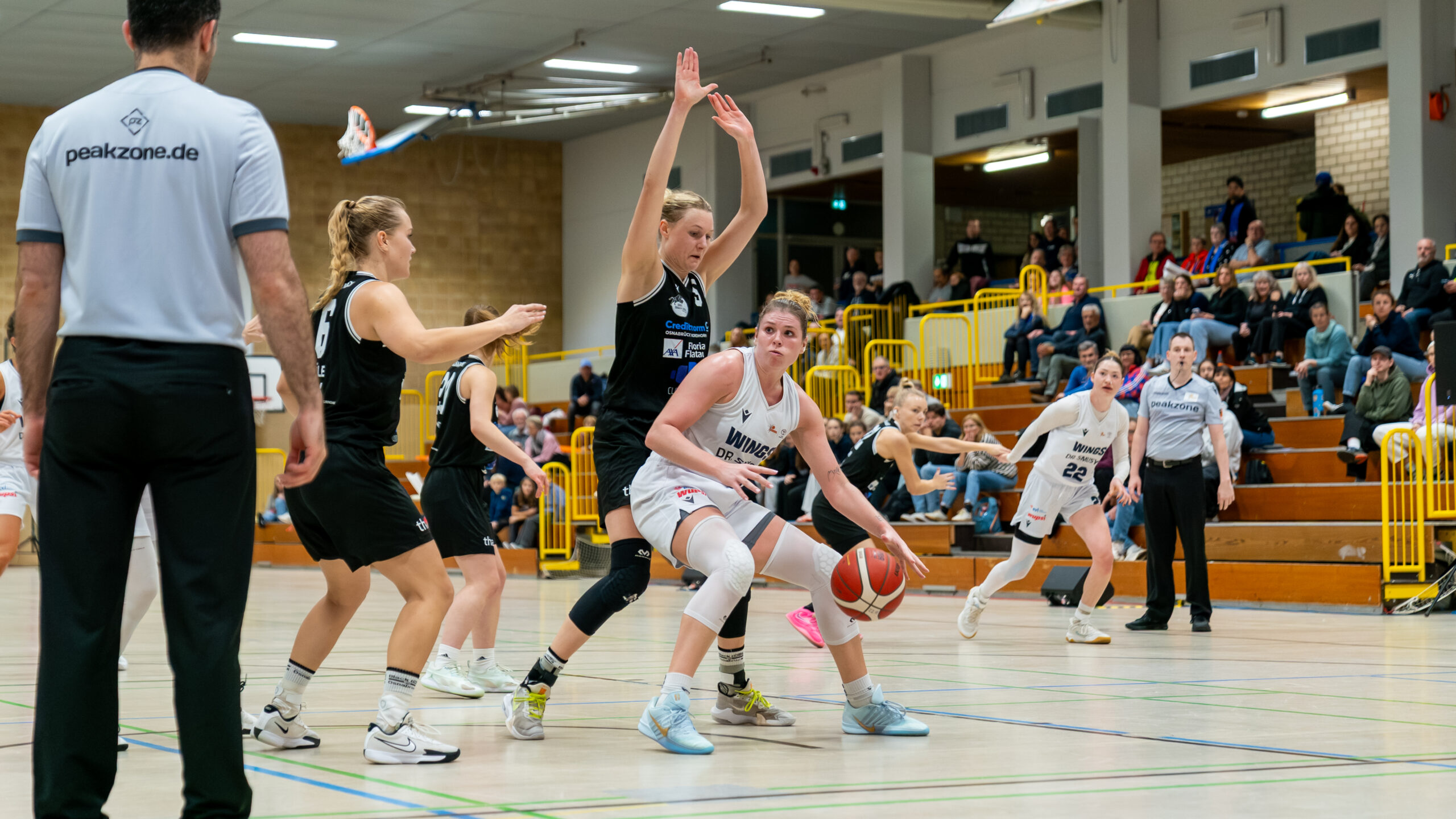 Gipfeltreffen im Norden: WINGS gastieren bei den Black Bulls