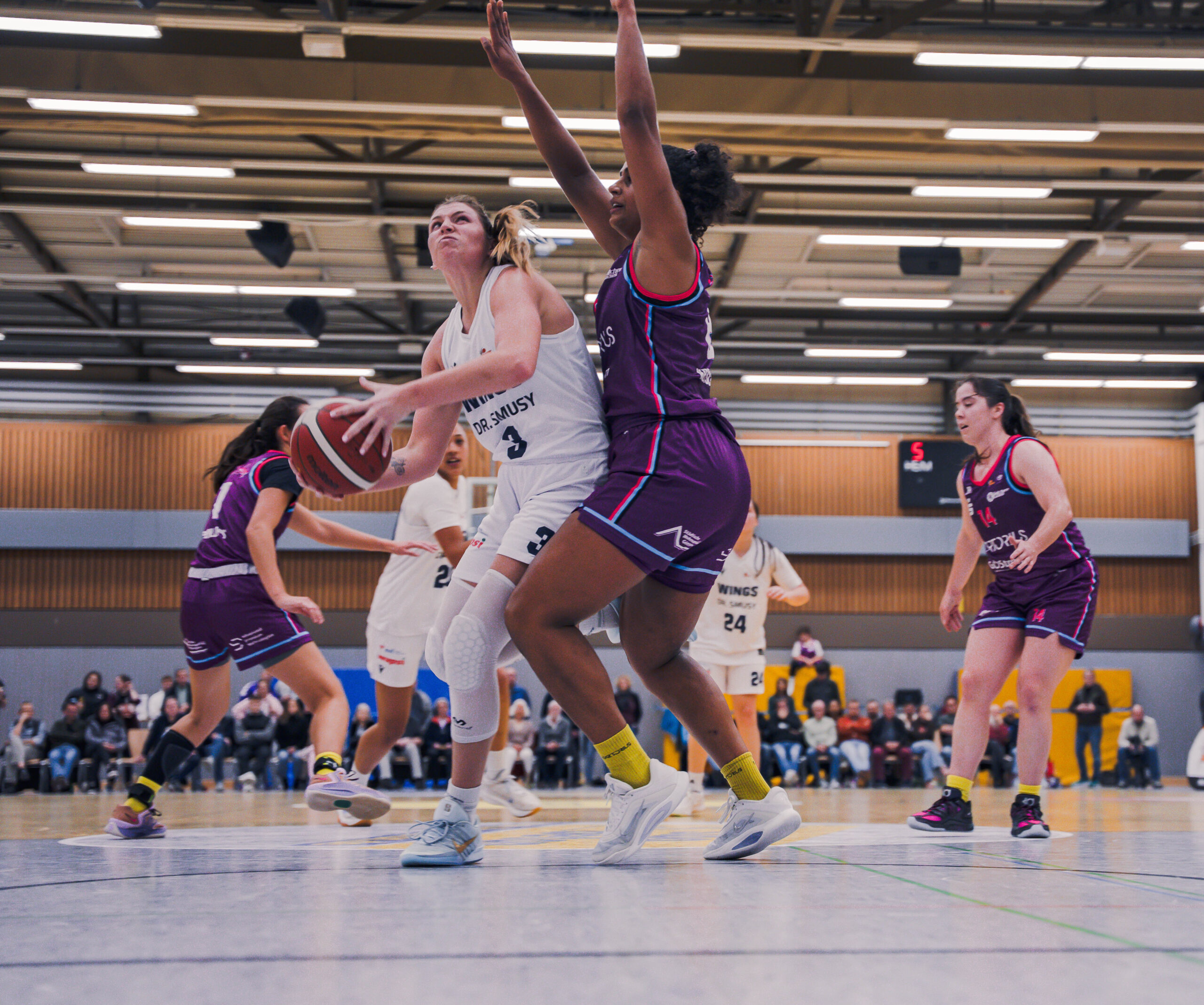 WINGS empfangen Göttingen zum absoluten Spitzenspiel