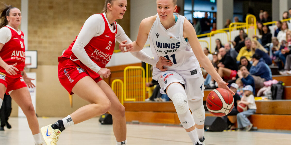 Viertelfinale im Playoff-Showdown: WINGS reisen nach Würzburg