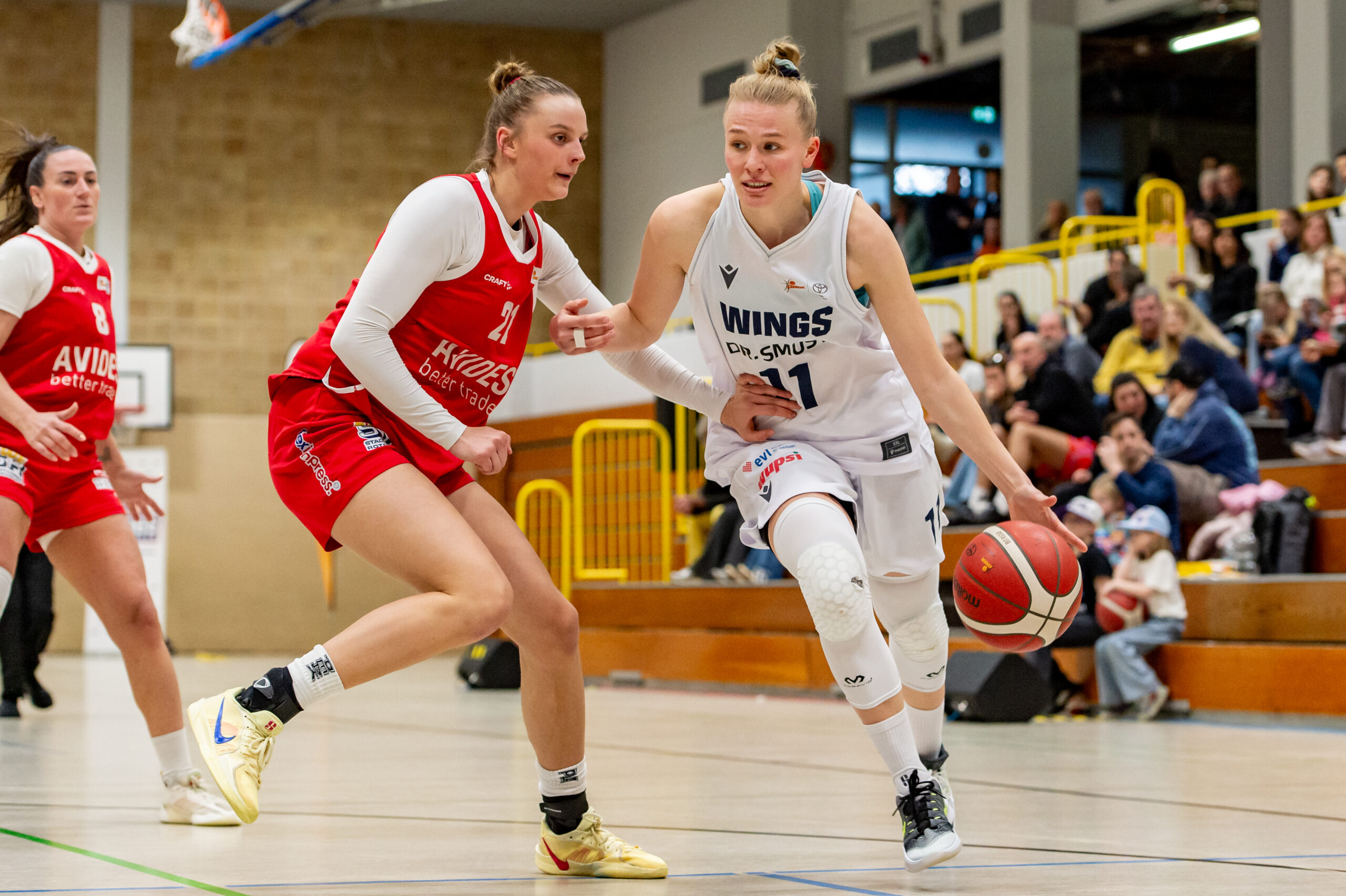 Viertelfinale im Playoff-Showdown: WINGS reisen nach Würzburg