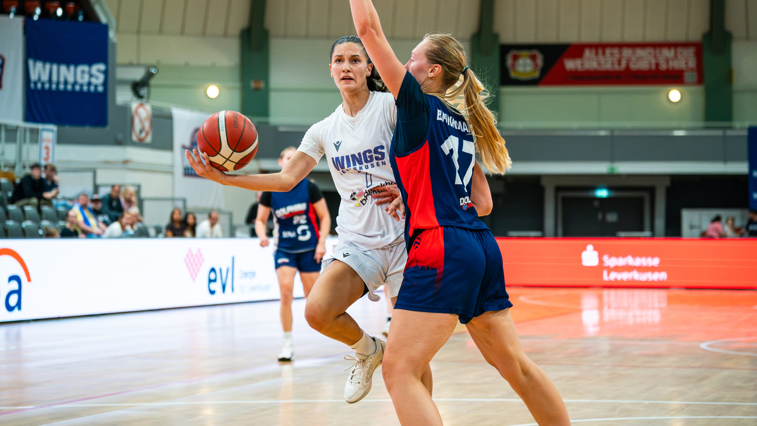 WINGS besiegen Wuppertal im WBV-Pokal